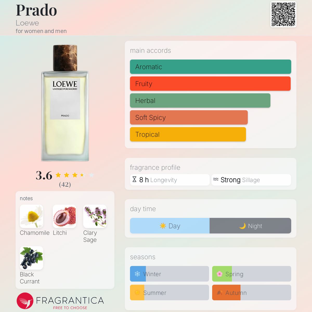 Prado Loewe perfume - a new fragrance for women and men 2024