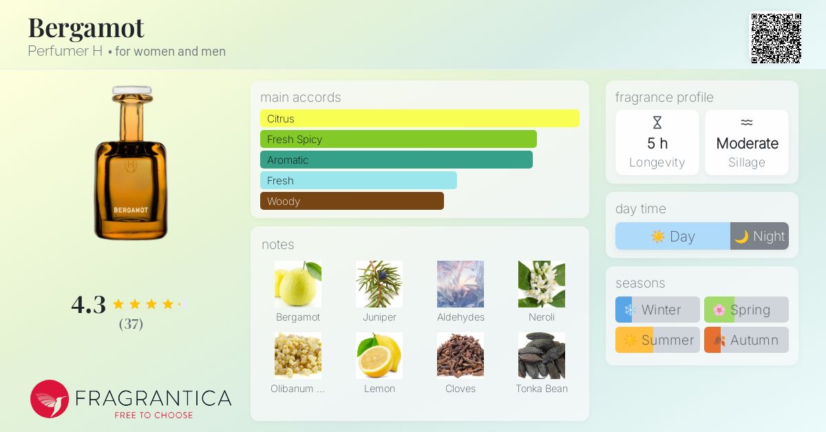 Bergamot Perfumer H perfume - a fragrance for women and men 2023