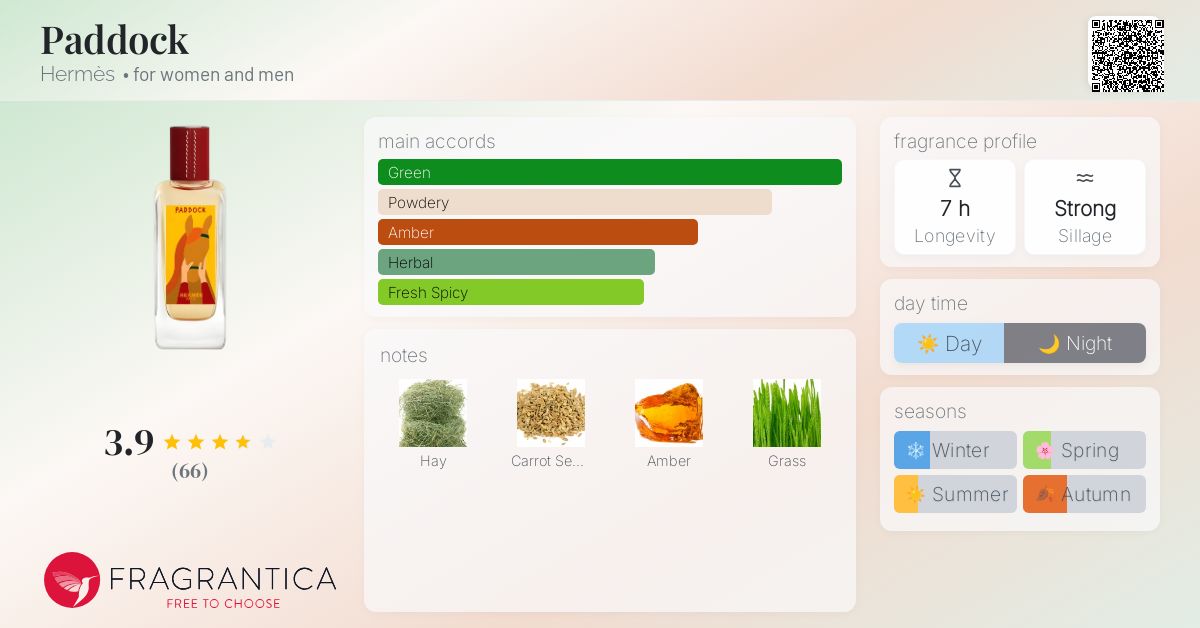 Paddock Hermès perfume - a new fragrance for women and men 2024