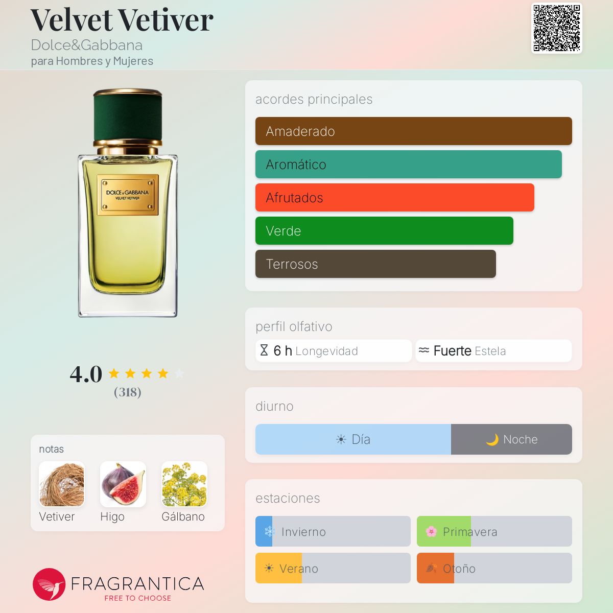 Velvet Vetiver Dolce&Gabbana fragancia - una fragancia para