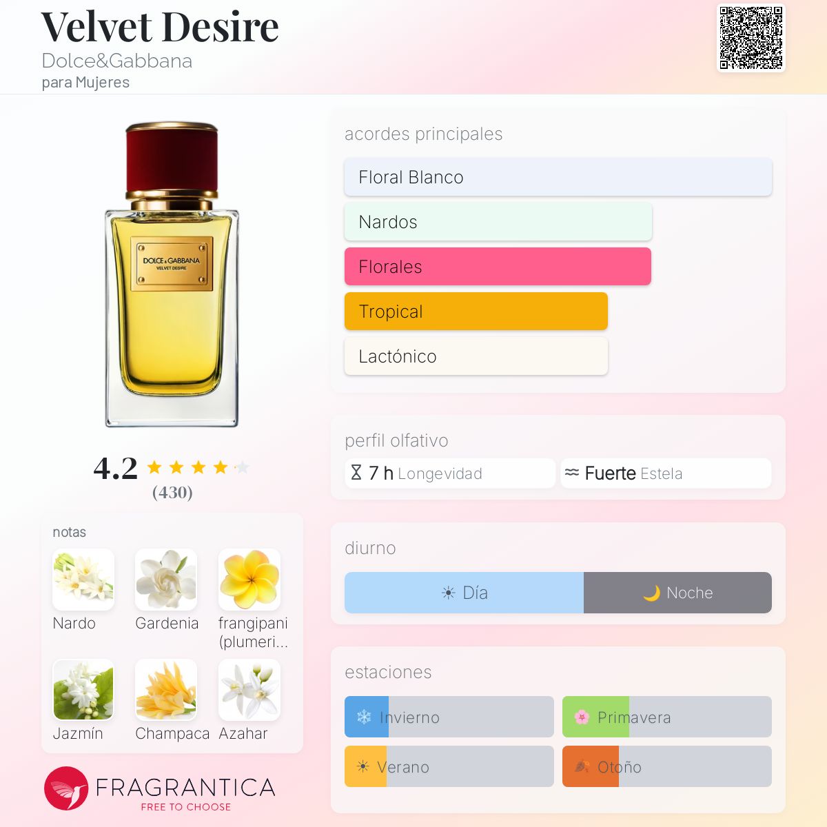 Velvet Desire Dolce&Gabbana fragancia - una fragancia para Mujeres