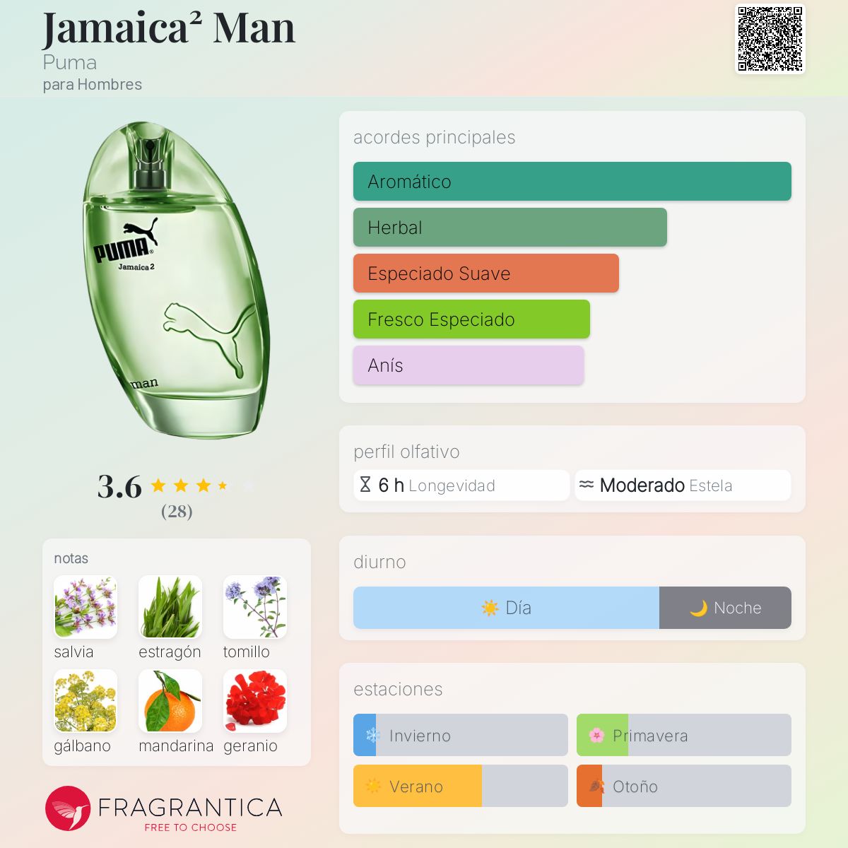 Puma Jamaica Puma Green Fragrance 90ml Parfum Spray Puma Green Eau