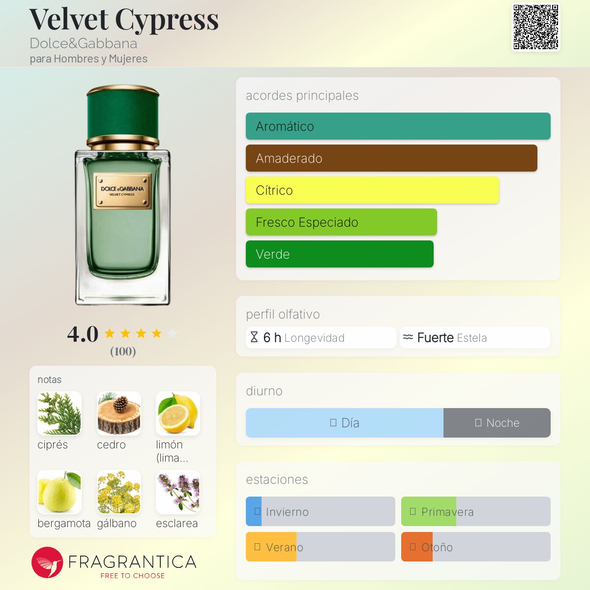 Velvet Cypress Dolce&Gabbana fragancia - una