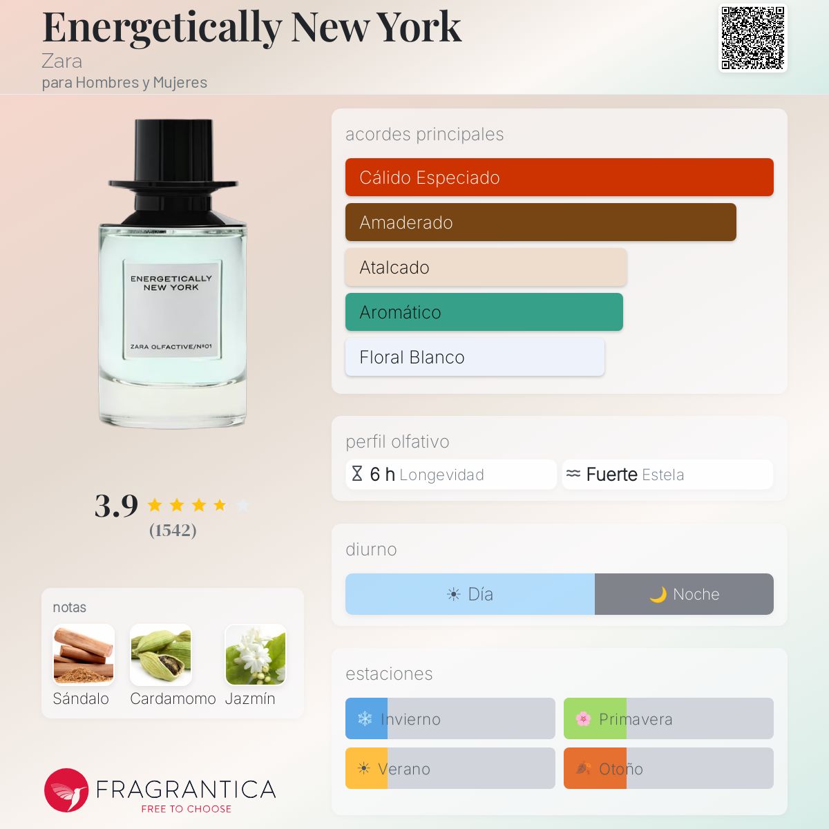 Energetically New York Zara fragancia - una fragancia para Hombres