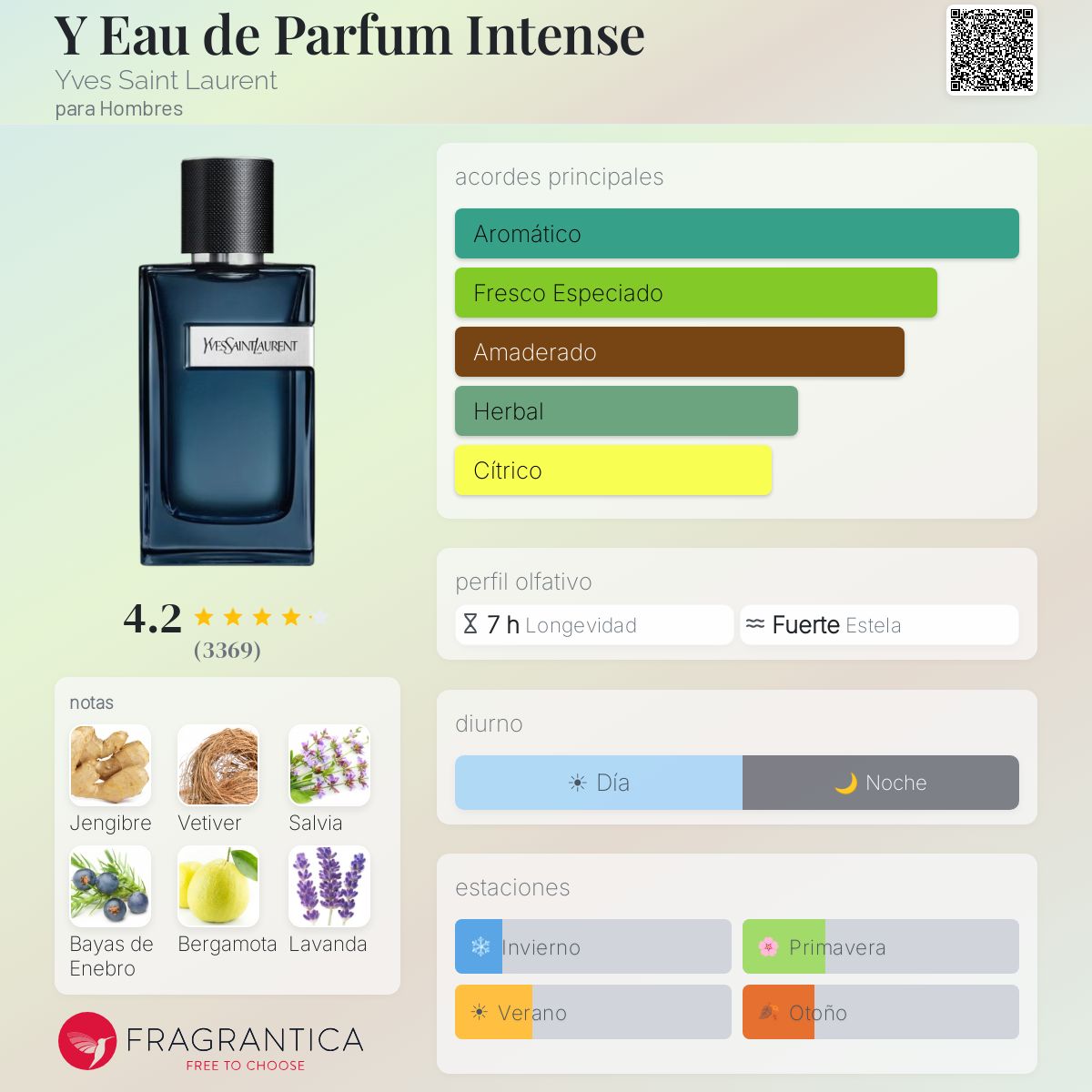 Y Eau de Parfum Intense Yves Saint Laurent Colonia - una fragancia