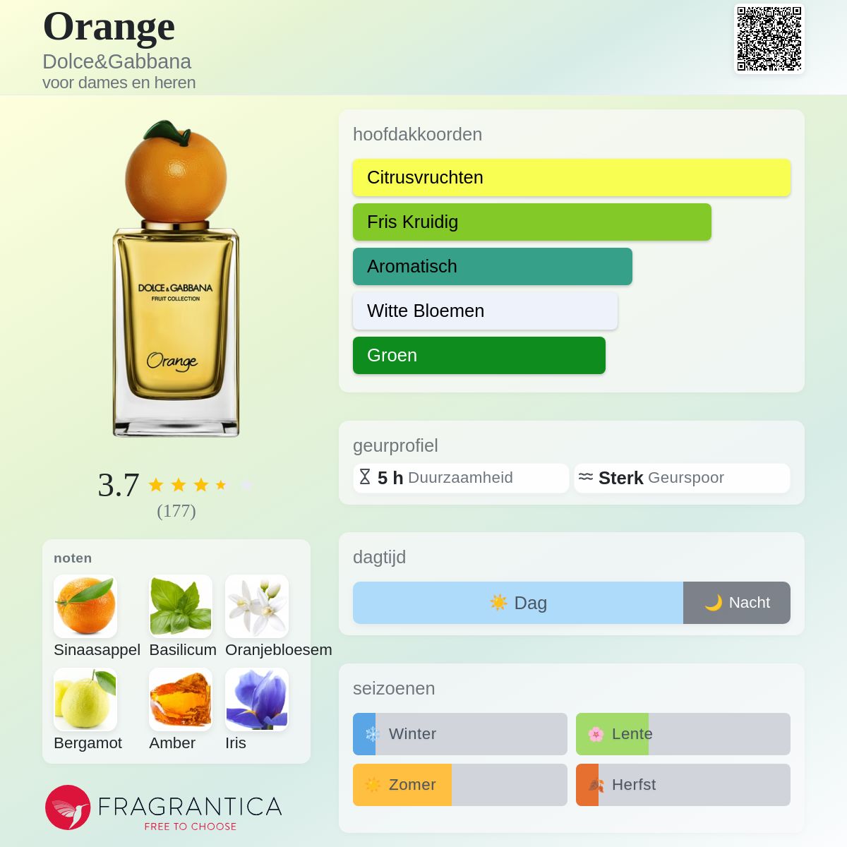 Orange Dolce&Gabbana parfum - een geur voor dames en heren 2020