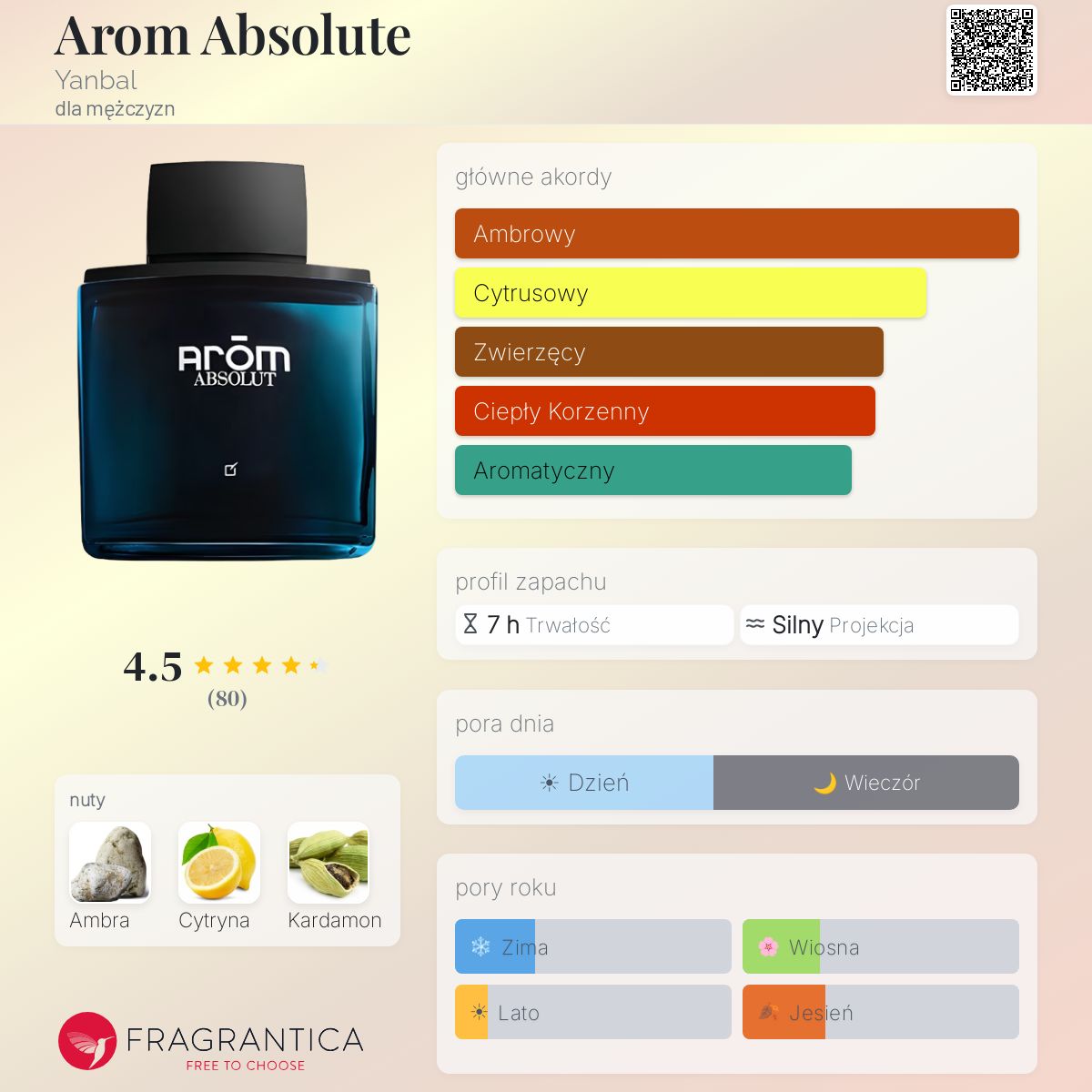 Absolute Aromen Karotten-Öl 50 Ml – Reines Trägeröl Für Massage & Hautpflege