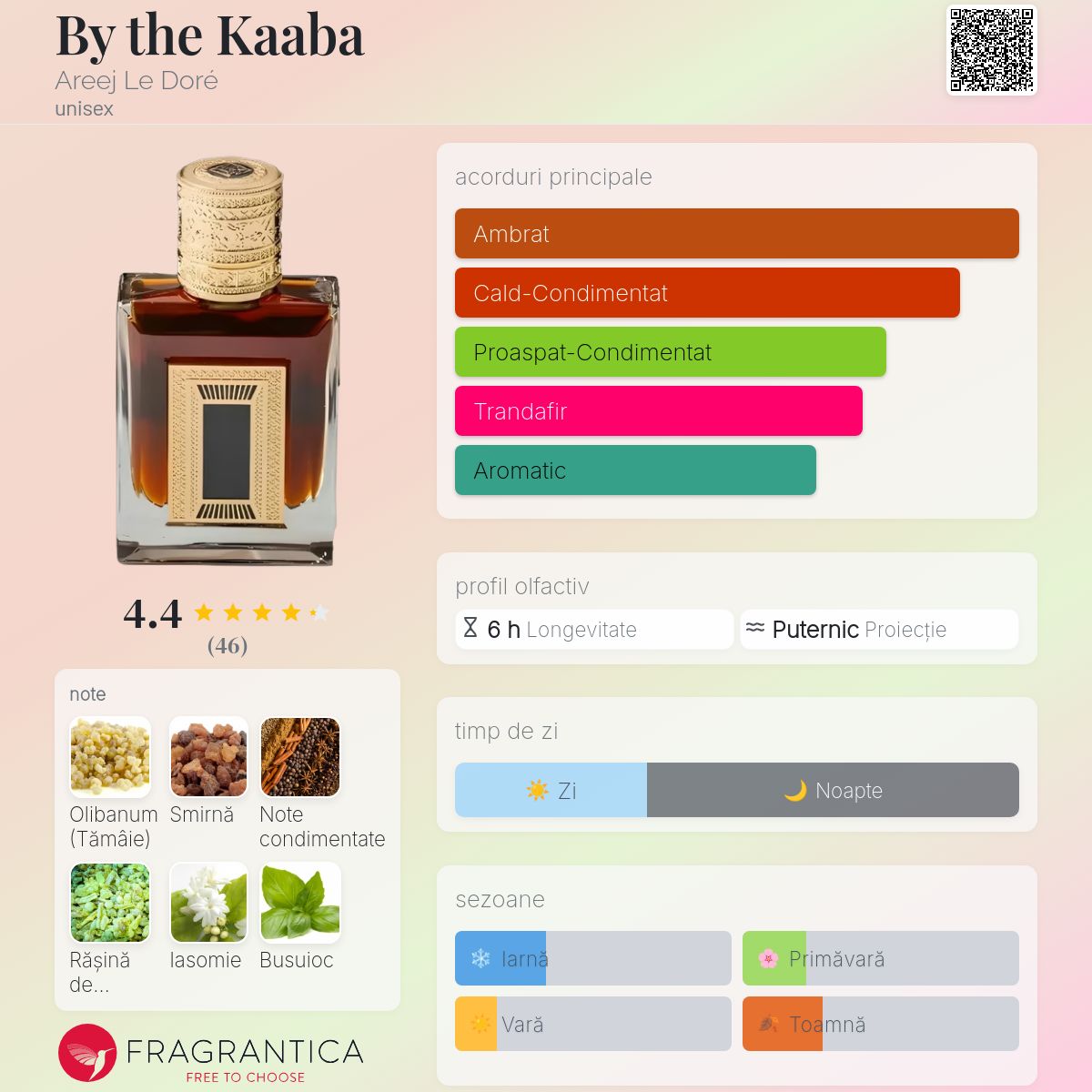 By the Kaaba Areej Le Doré parfum - un nou parfum unisex 2025