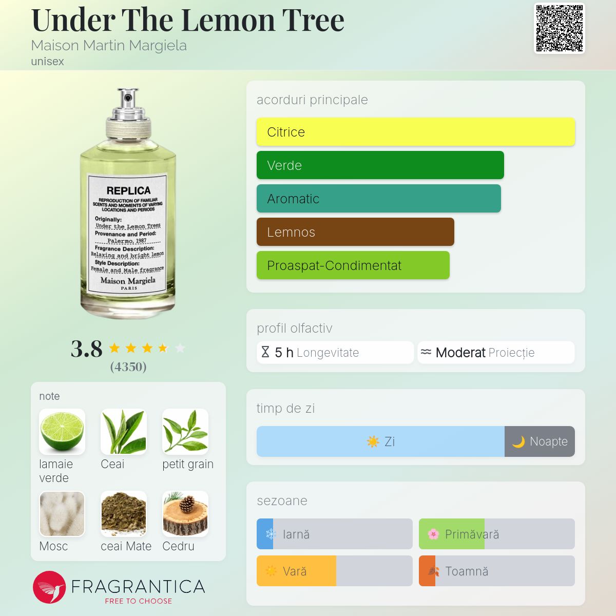 Under The Lemon Tree Maison Martin Margiela parfum - un parfum