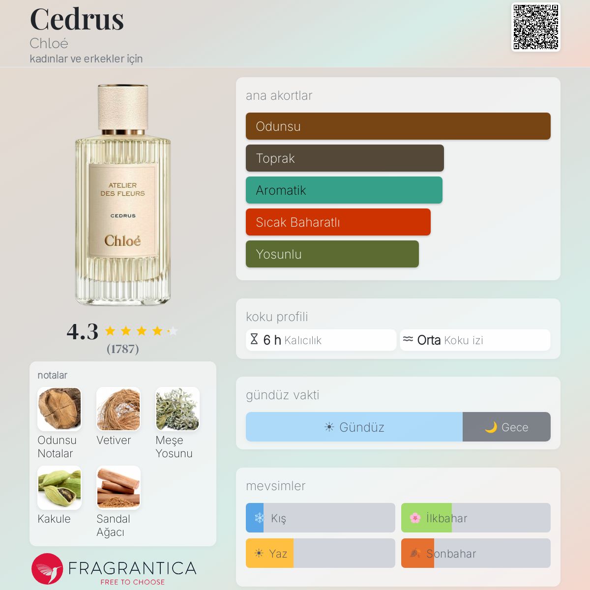 Cedrus Chloé parfüm - kadınlar ve erkekler için bir koku 2019