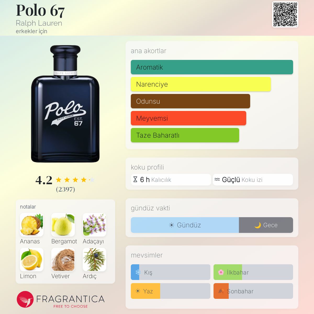 Polo 67 Ralph Lauren kolonya - erkekler için bir koku 2024