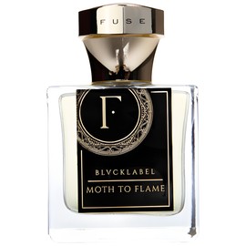 Moth To Flame