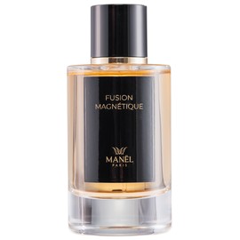 Fusion Magnétique