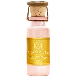 perfume Musc Vintage Lotto 24