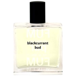 perfume Blackcurrant Bud
