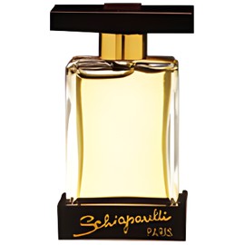 perfume Shocking You