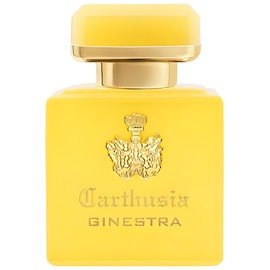 Intenso di Ginestra