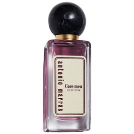 perfume Core Meu