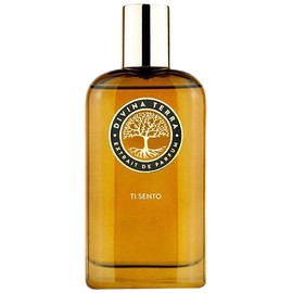 perfume Ti Sento