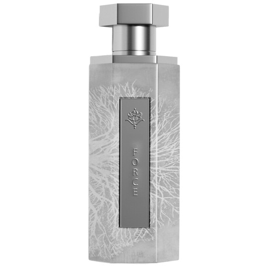 Reef Perfumes Perfumes And Colognes