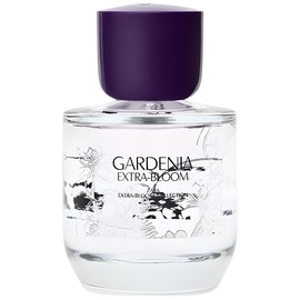 Gardenia Extra-Bloom