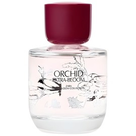 perfume Orchid Extra-Bloom