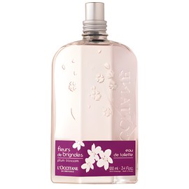 Fleurs de Brignoles (Plum Blossom)