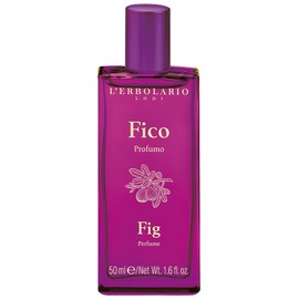 Fico / Fig