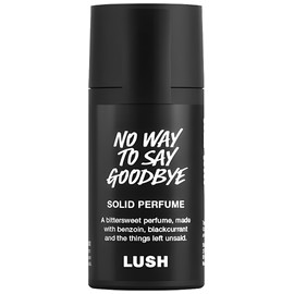 No Way To Say Goodbye