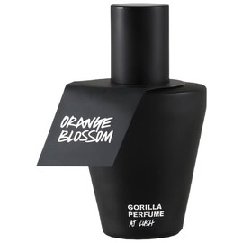 Orange Blossom