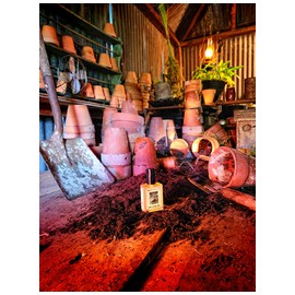 Wilcox's Potting Shed