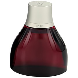 Spirit for Men