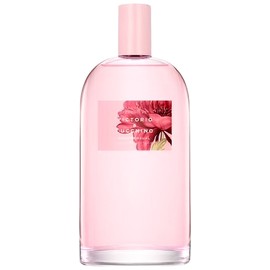 perfume Rosa Sensual