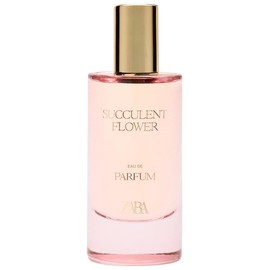 perfume Succulent Flower