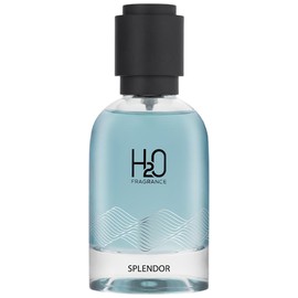Splendor Men