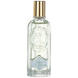 Verveine Thé Blanc