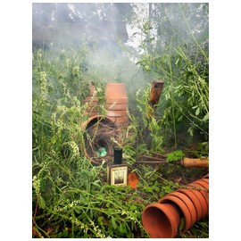 Sweet Clover & Wood Smoke