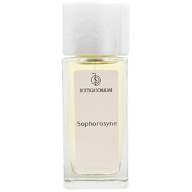 perfume Sophorosyne