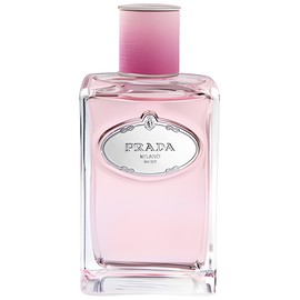 Infusion de Rose