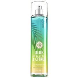 Blue Waves & Citrus