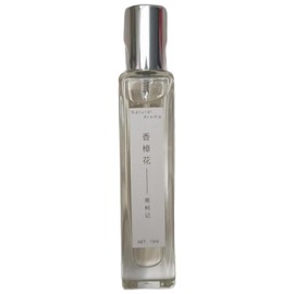 Camphor Flower 香樟花