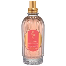 Rose Jardin Delice