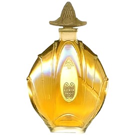 perfume Ambre