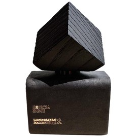 perfume Brucia In Me