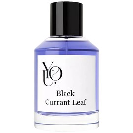 perfume Black Currant Leaf