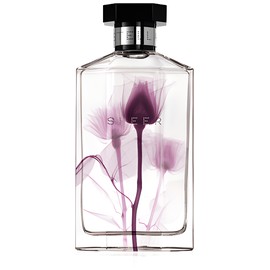 Sheer Stella 2011