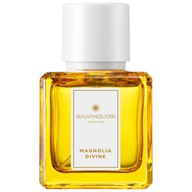 perfume Galvanoliori Magnolia Divine