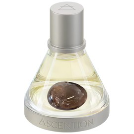 Ascent to Detox with Smoky Quartz