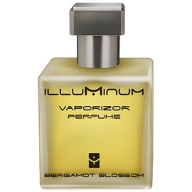 Bergamot Blossom