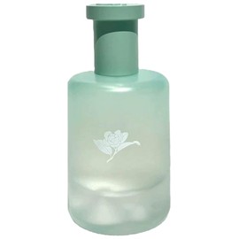 perfume Camellia in the Mountain 清野山茶